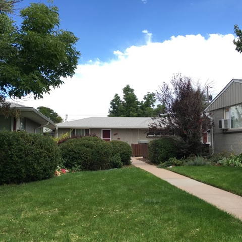 Forest Terrace